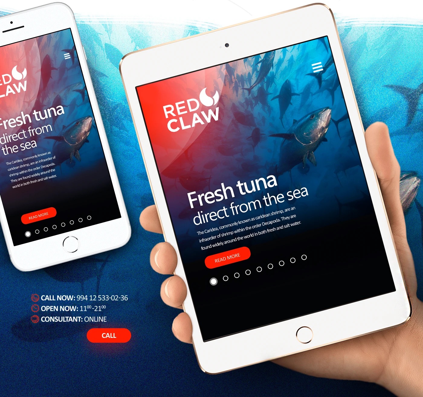 Mobile design: phone and tablet held in a hand over an underwater tuna photograph, fresh tuna direct from the sea, call now and opening hours below